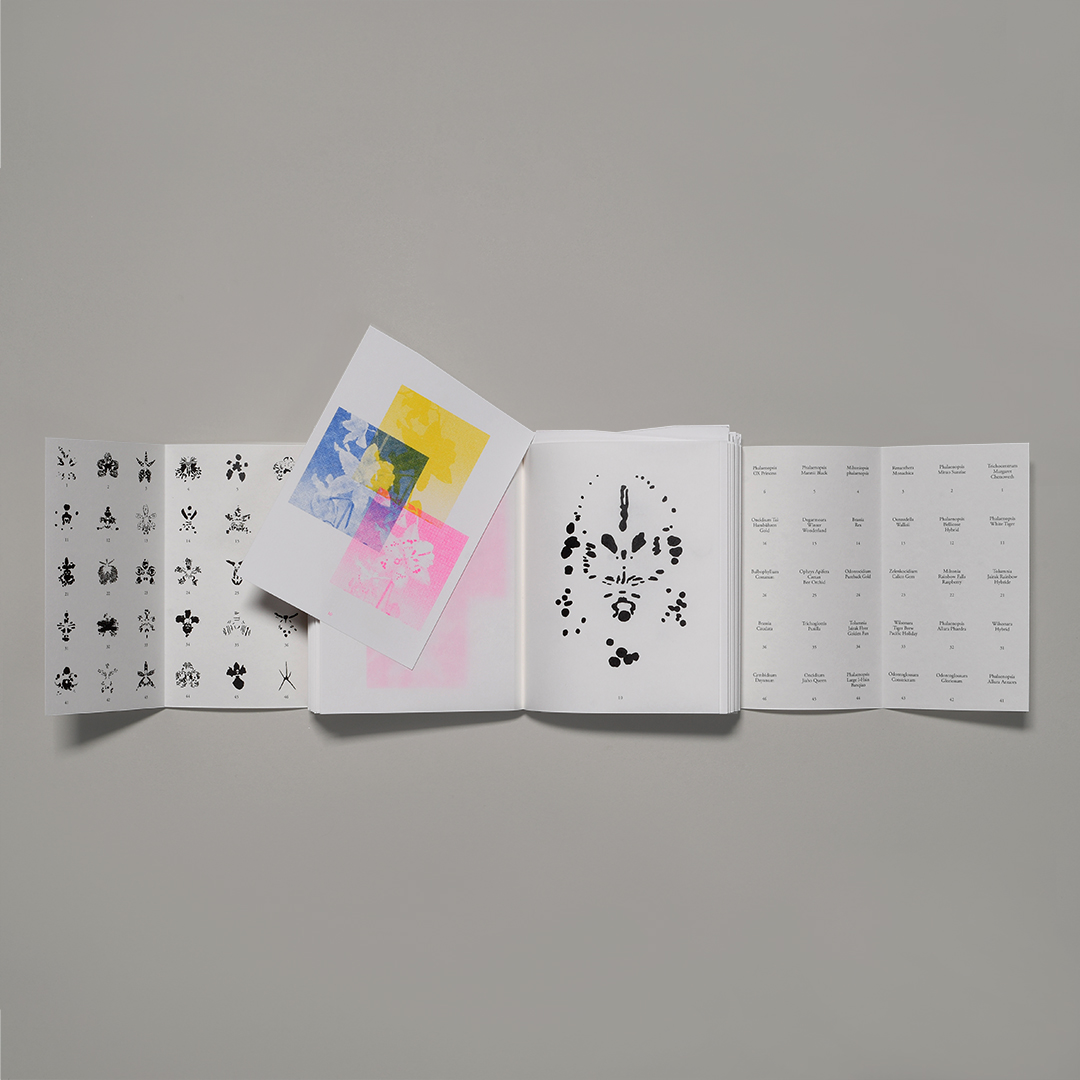 Libro d'artista aperto con inserti pieghevoli e tavole stampate a colori
